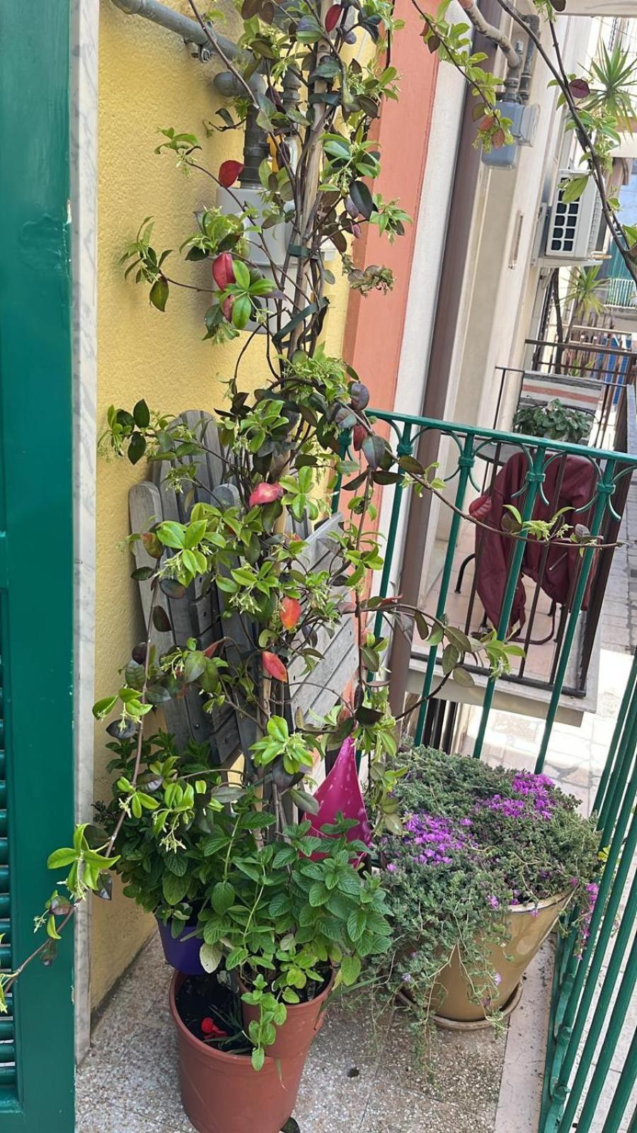 Villa La Casa Di Nonna Sisina Mola di Bari Exterior foto